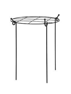 Charlbury Grow Through Plant Support - Large -Garden Trading Store BGPS02 portrait 8 00756.1692956128