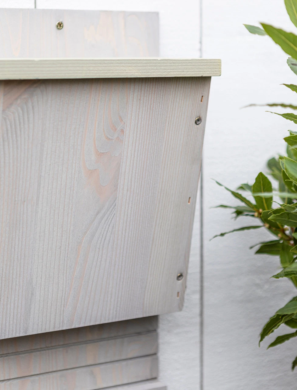 Shetland Bat House - Sage 2 Shetland Bat House - Sage - Image 2