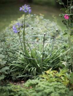 Barrington Flared Plant Support - Large