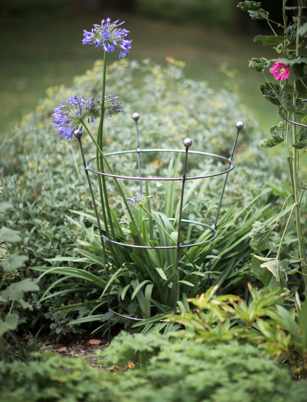 Barrington Flared Plant Support - Large 1 Barrington Flared Plant Support - Large