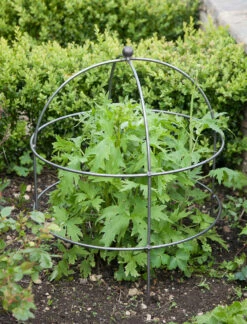 Barrington Domed Plant Support - Large