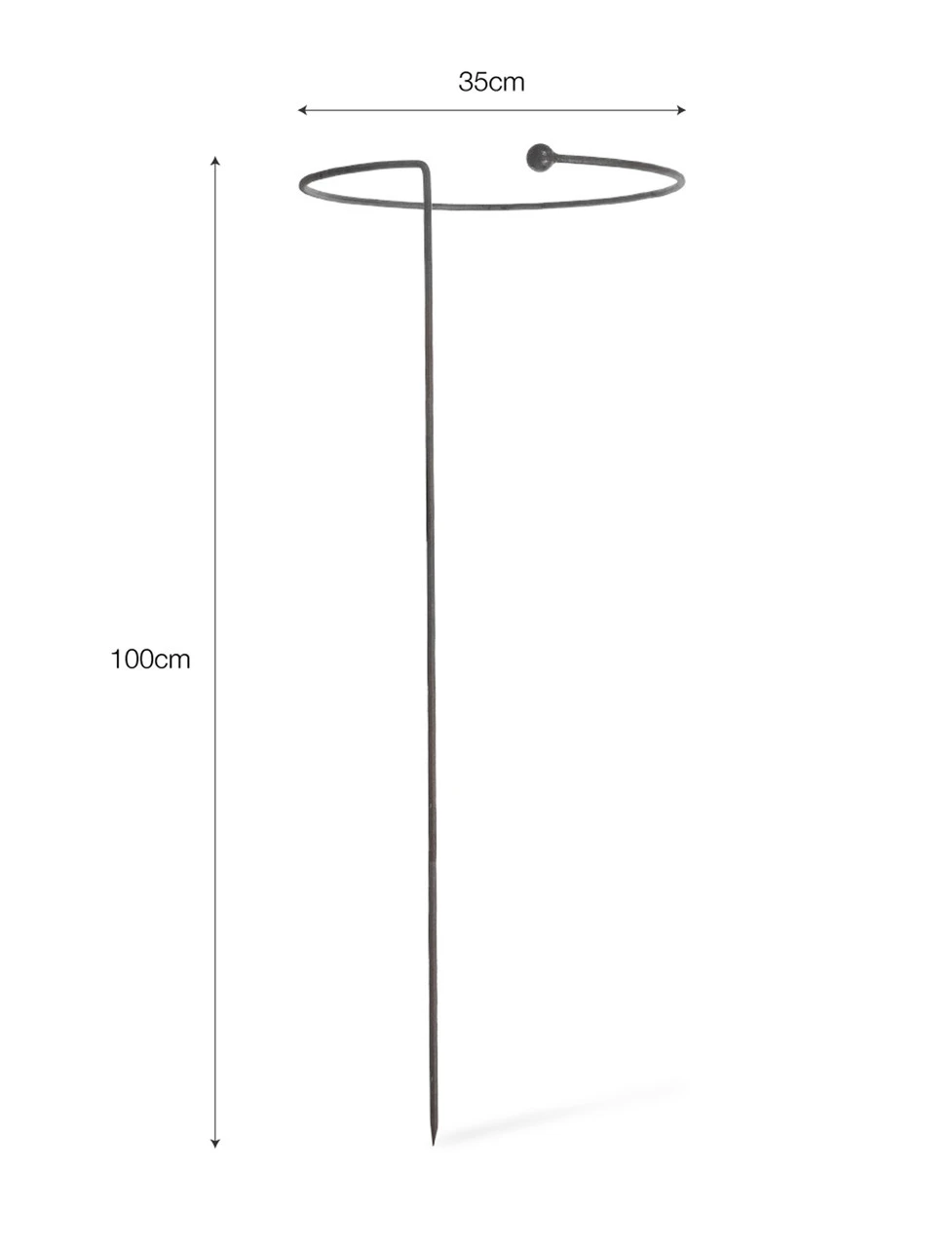 Barrington Full Hoop Plant Support 3 Barrington Full Hoop Plant Support - Image 3