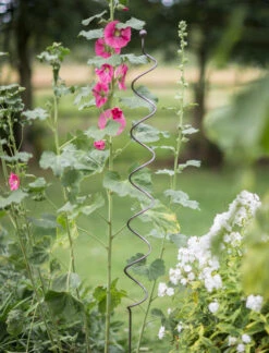 Barrington Spiral Plant Support