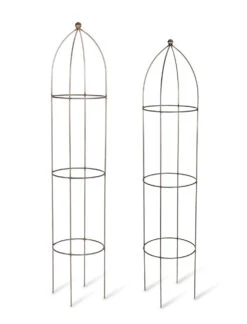 Barrington Obelisk Plant Support - Set Of 2 6 Barrington Obelisk Plant Support - Set Of 2 -Garden Trading Store BSME12 A portrait 8 28459.1649770891