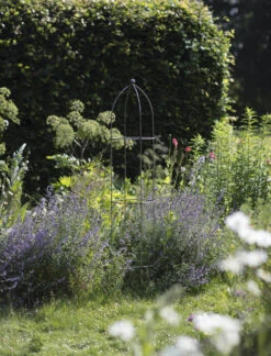 Barrington Obelisk Plant Support - 180cm