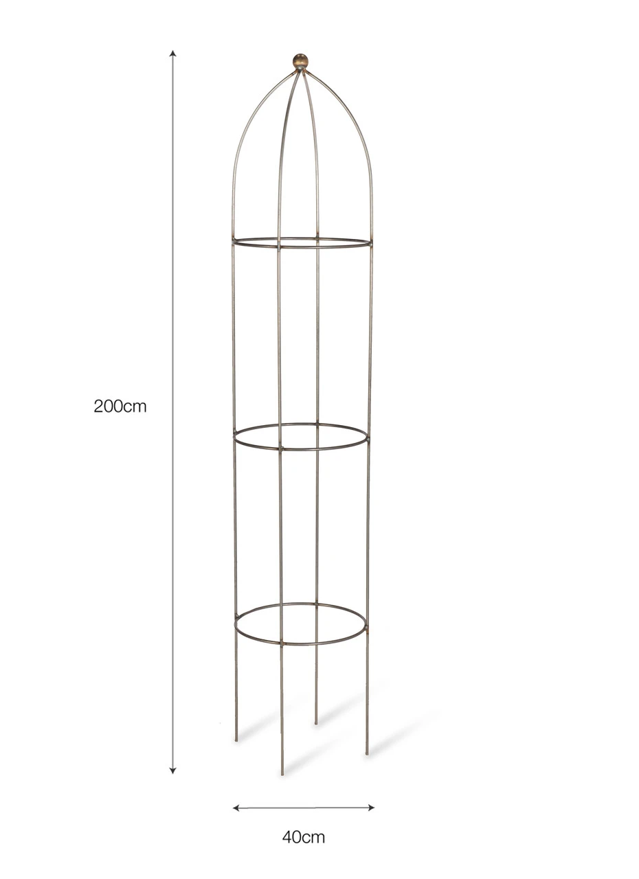 Barrington Obelisk Plant Support - 200cm 6 Barrington Obelisk Plant Support - 200cm - Image 6