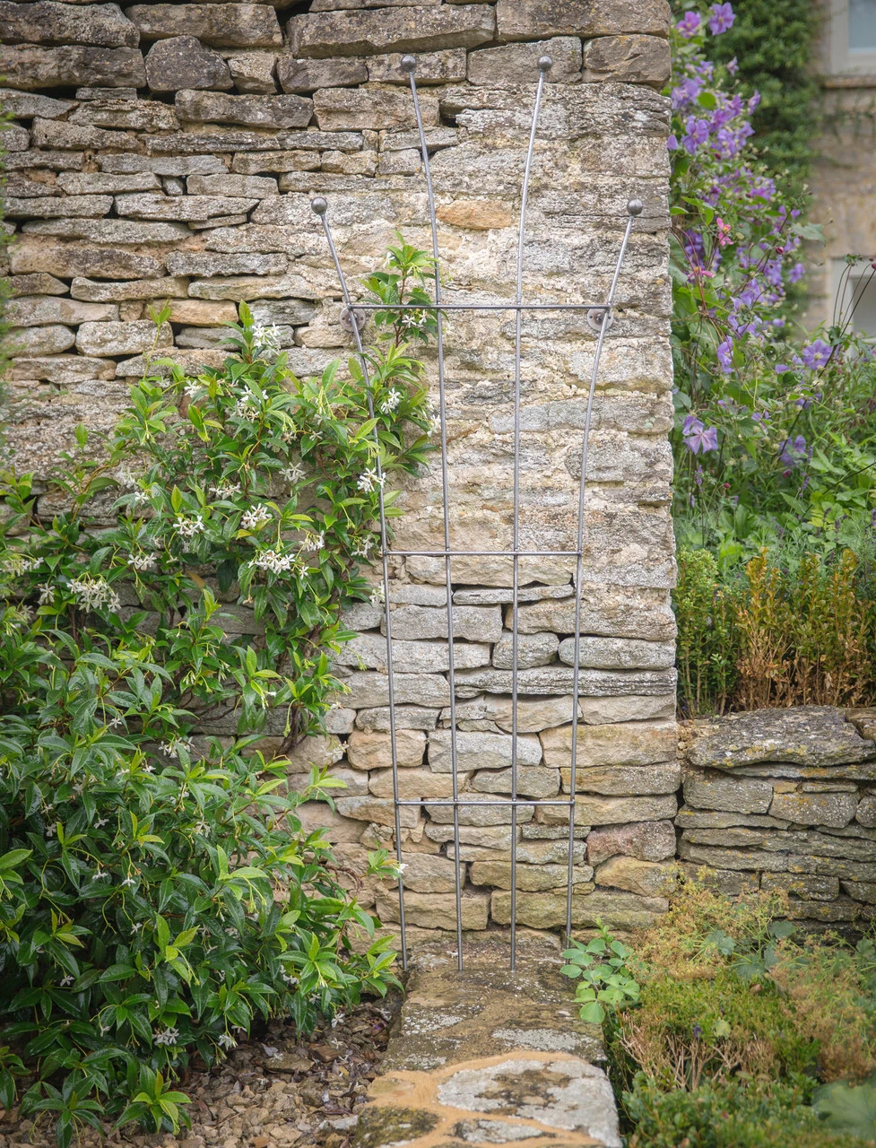 Barrington Honeysuckle Trellis 2 Barrington Honeysuckle Trellis - Image 2