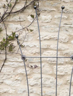 Barrington Honeysuckle Trellis 7 Barrington Honeysuckle Trellis -Garden Trading Store BSME15 portrait 3 28404.1638461613