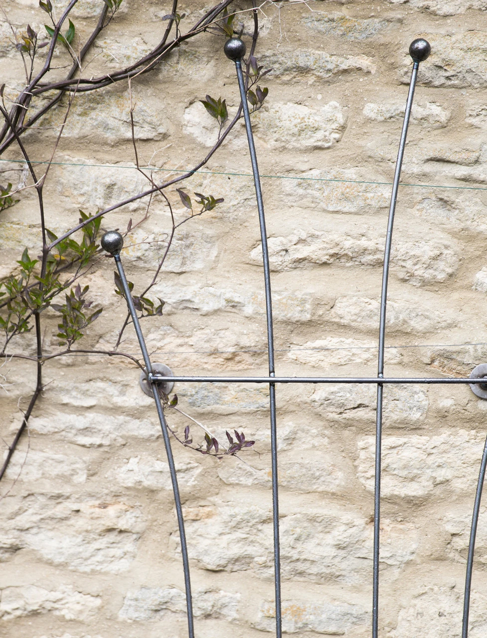 Barrington Honeysuckle Trellis 3 Barrington Honeysuckle Trellis - Image 3