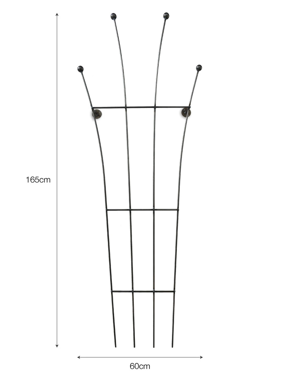 Barrington Honeysuckle Trellis 5 Barrington Honeysuckle Trellis - Image 5