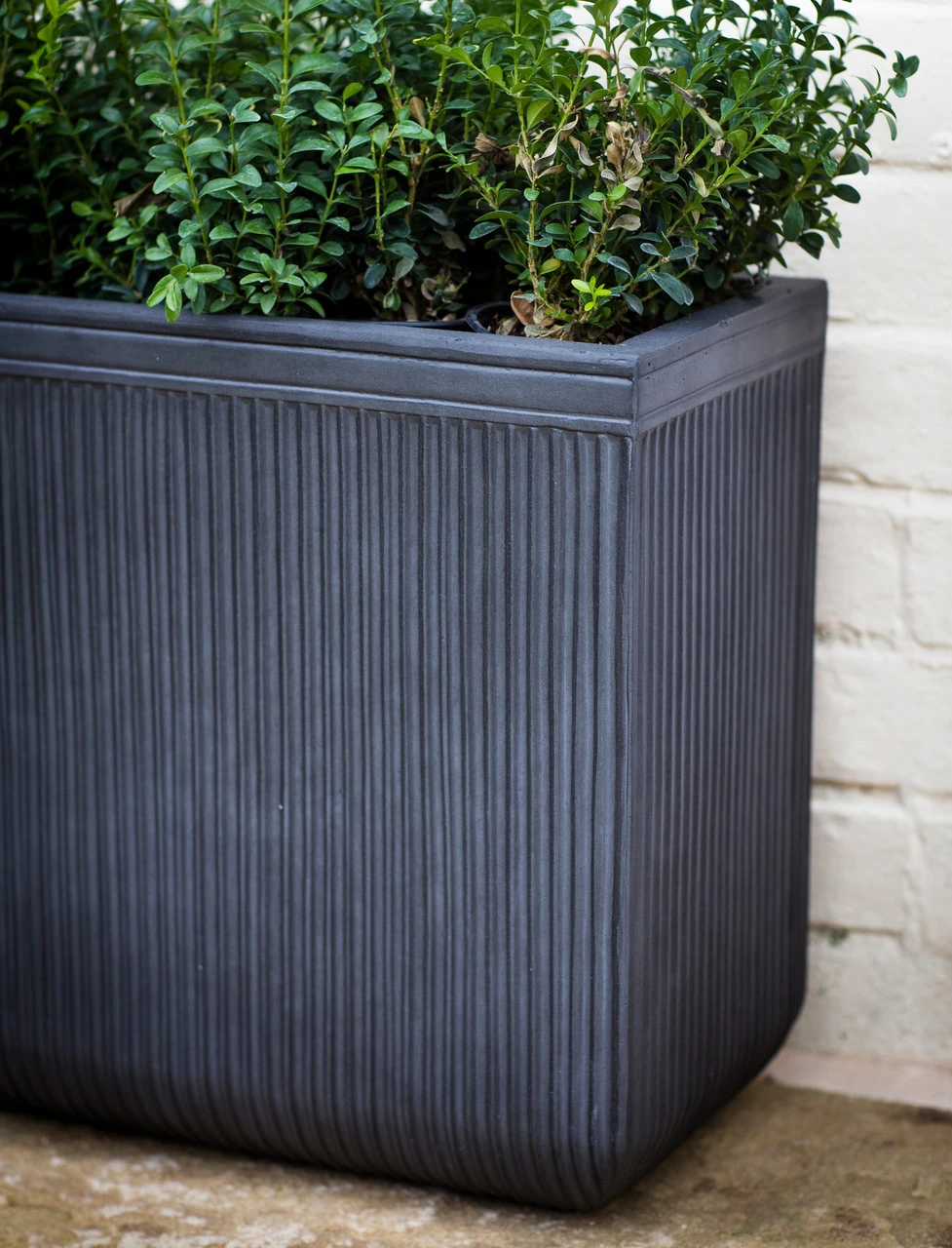 Bathford Rectangular Planter - 50cm 2 Bathford Rectangular Planter - 50cm - Image 2