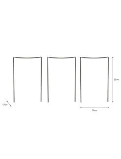 Set Of 3 Charlbury Plant Restraints - Small 5 Set Of 3 Charlbury Plant Restraints - Small -Garden Trading Store BTPR01 portrait 9 33557.1638462095