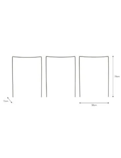 Set Of 3 Charlbury Plant Restraints - Large 5 Set Of 3 Charlbury Plant Restraints - Large -Garden Trading Store BTPR02 portrait 9 44817.1638462097