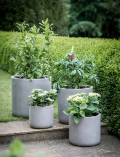Brockwell Planter In Taupe - 27cm -Garden Trading Store BWPL02 portrait 1 44029.1658477472
