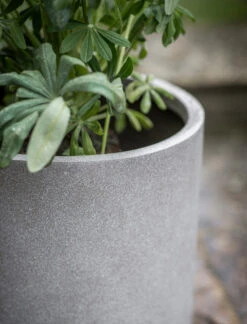 Brockwell Planter In Taupe - 41.5cm -Garden Trading Store BWPL02 portrait 2 01893.1658477628