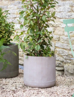 Cutsdean Planter - 36cm