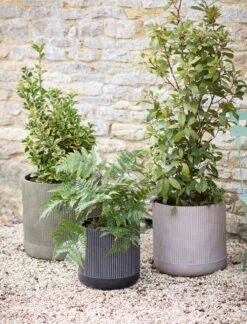 Cutsdean Planter - 36cm 7 Cutsdean Planter - 36cm -Garden Trading Store CDPL01M portrait 3 01090.1638462801