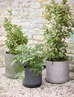 Cutsdean Planter - 30cm 7 Cutsdean Planter - 30cm -Garden Trading Store CDPL01S portrait 3 80893.1638463826