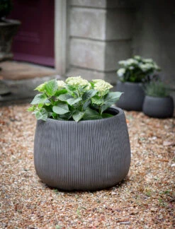 Cutsdean Round Planter - Large