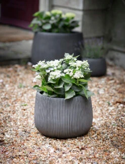 Cutsdean Round Planter - Medium