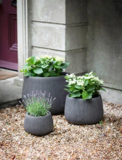 Cutsdean Round Planter - Medium -Garden Trading Store CDPL02 portrait 1 71101.1658318016