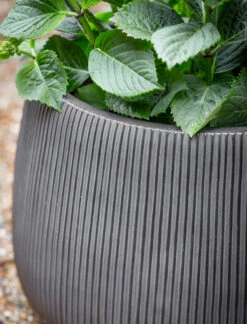 Cutsdean Round Planter - Small -Garden Trading Store CDPL02 portrait 2 92749.1658318066