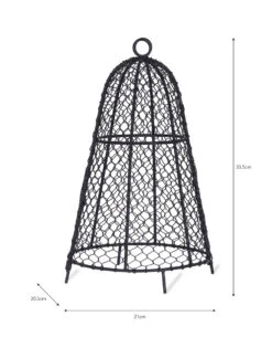 Garden Cloche - 21cm 5 Garden Cloche - 21cm -Garden Trading Store CLWW01 portrait 9 51161.1638464432