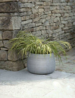Coates Planter - 39.5cm