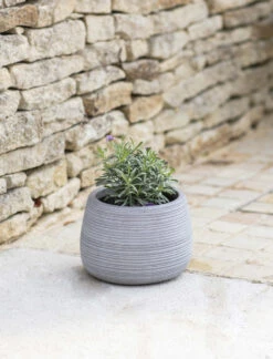 Coates Planter - 26.5cm