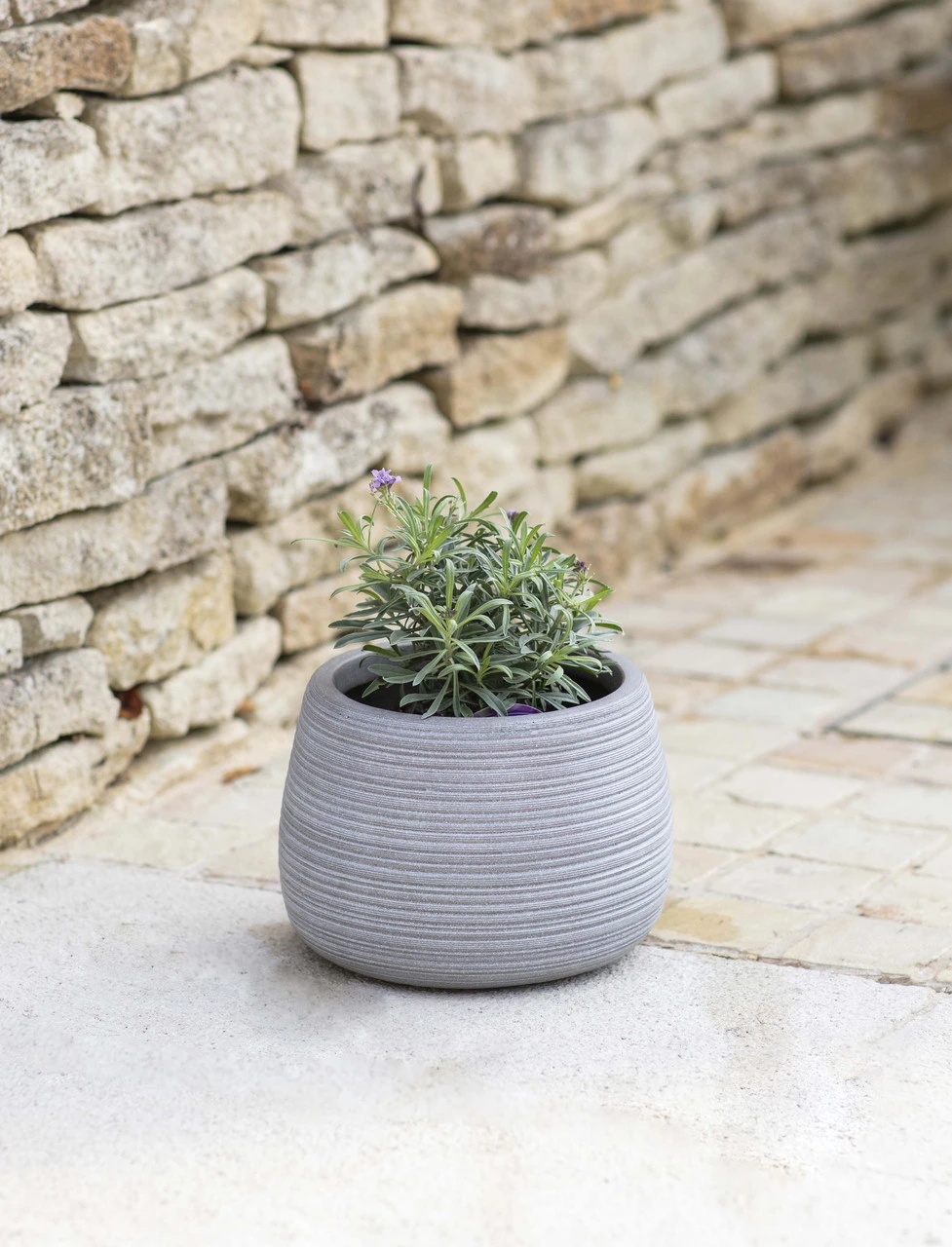 Coates Planter - 26.5cm 1 Coates Planter - 26.5cm