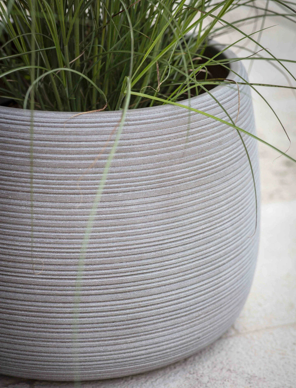 Coates Planter - 26.5cm 2 Coates Planter - 26.5cm - Image 2