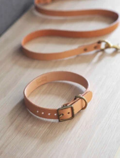 Leafield Dog Collar - Medium