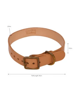 Leafield Dog Collar - Medium 5 Leafield Dog Collar - Medium -Garden Trading Store DCLE01 portrait 9 86666.1638466885