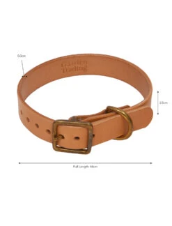 Leafield Dog Collar - Small -Garden Trading Store DCLE02 portrait 9 94636.1638466889