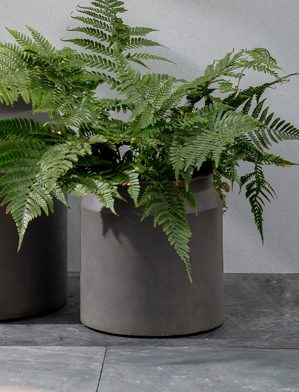 Draycott Planter - Small - Pebble 1 Draycott Planter - Small - Pebble