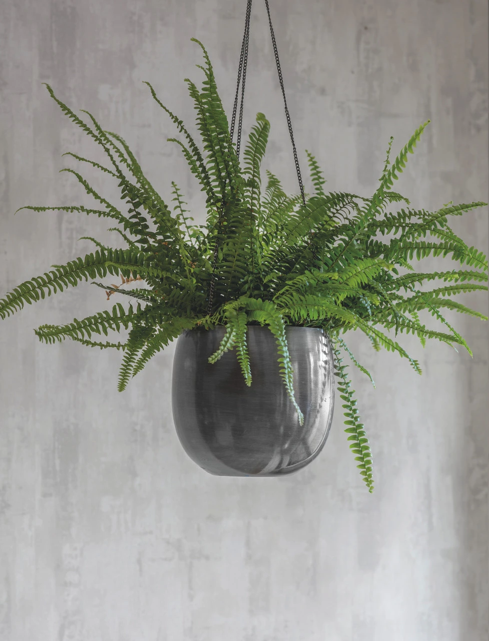 Farringdon Hanging Plant Pot - 20cm 1 Farringdon Hanging Plant Pot - 20cm