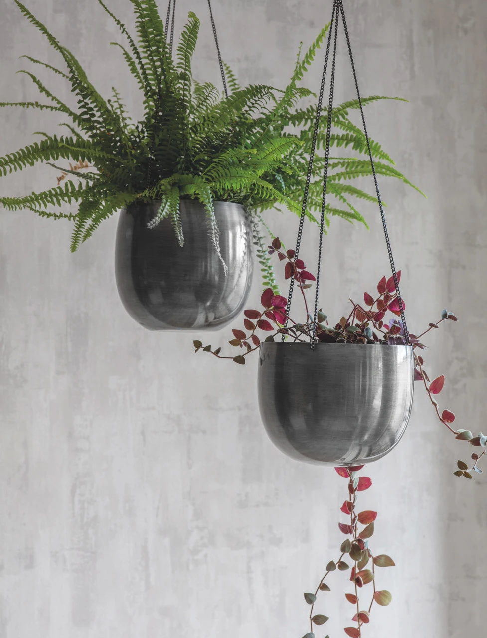 Farringdon Hanging Plant Pot - 20cm 2 Farringdon Hanging Plant Pot - 20cm - Image 2