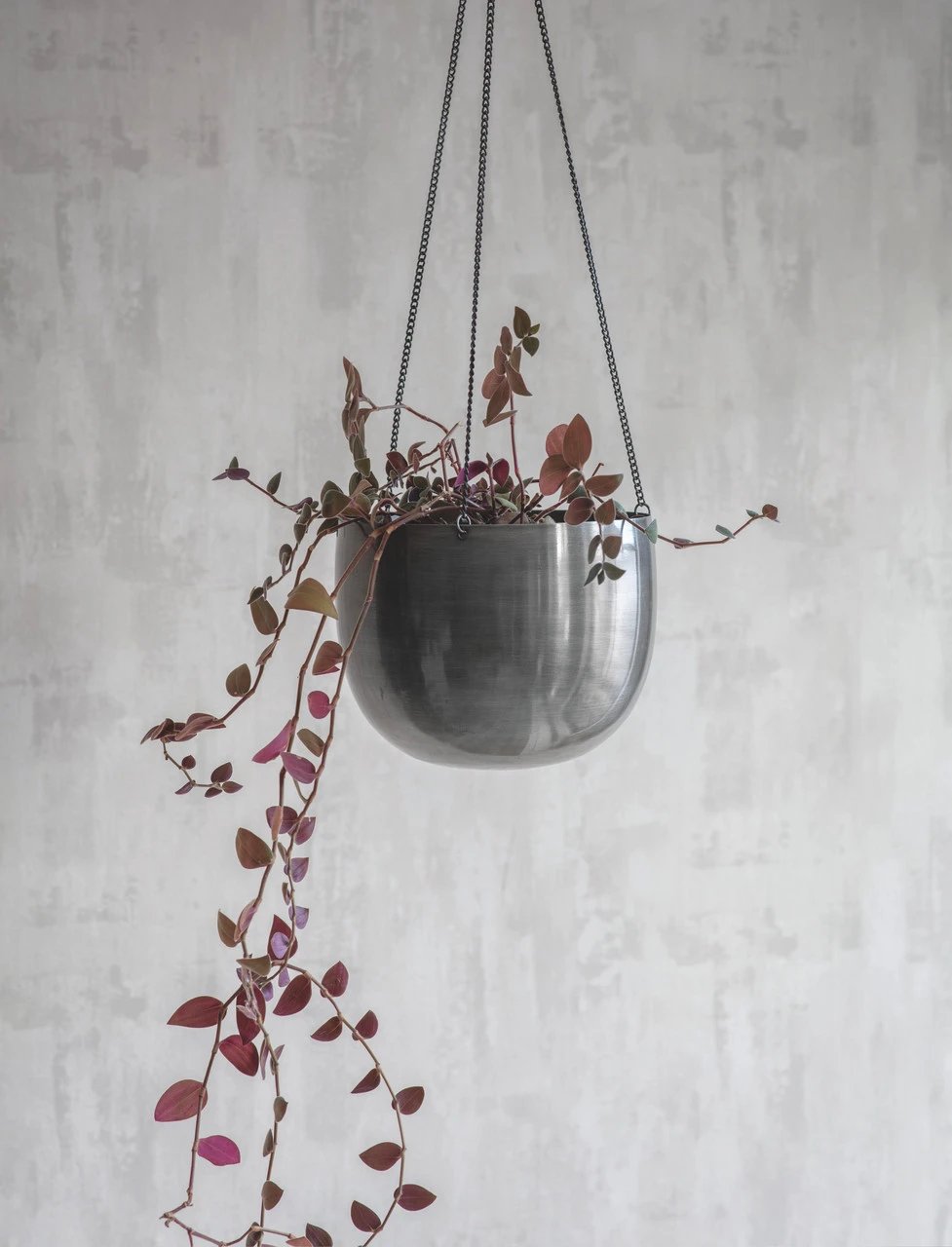 Farringdon Hanging Plant Pot - 15cm 1 Farringdon Hanging Plant Pot - 15cm