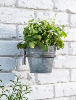 Single Winson Wall Pot And Farringdon Holder - Black