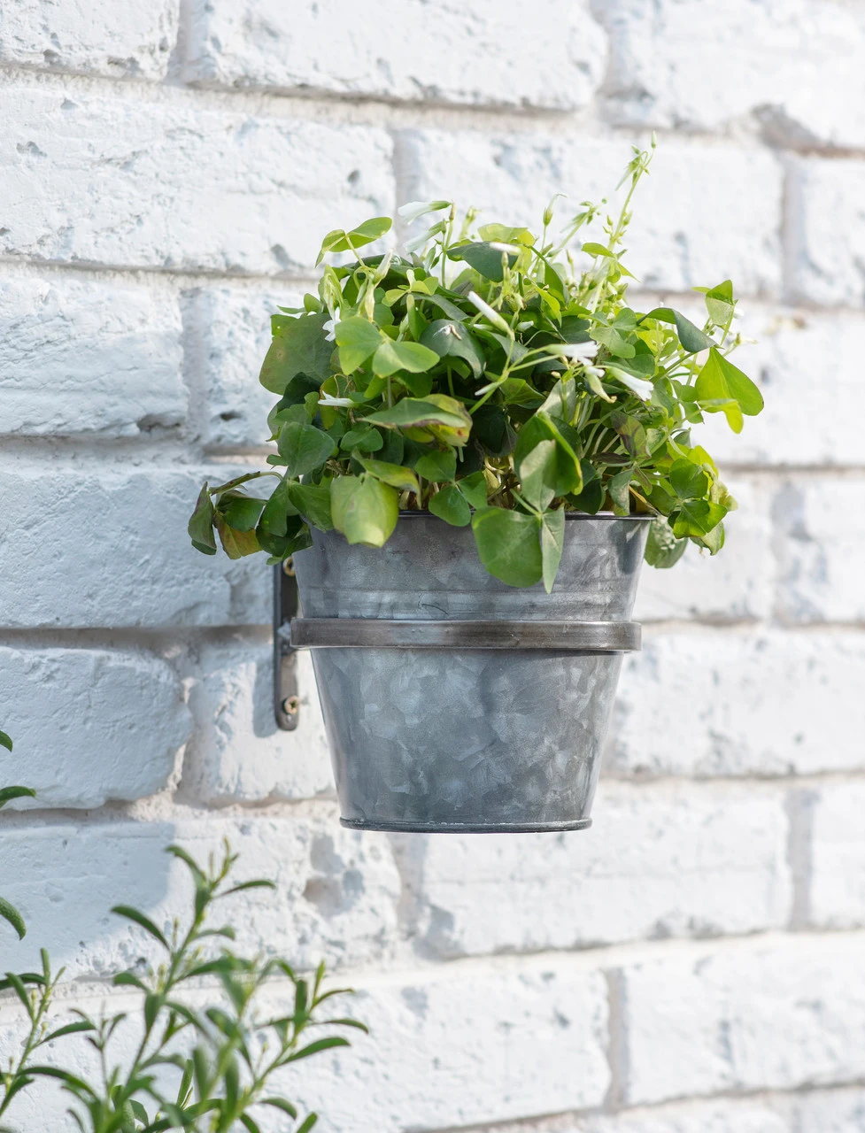 Single Winson Wall Pot And Farringdon Holder - Black 1 Single Winson Wall Pot And Farringdon Holder - Black