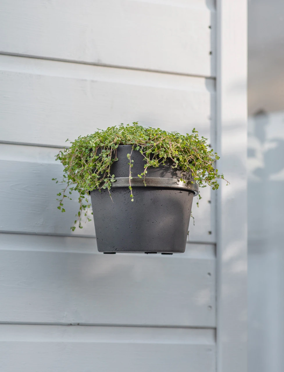 Single Stratton Wall Pot And Farringdon Holder - Carbon 1 Single Stratton Wall Pot And Farringdon Holder - Carbon