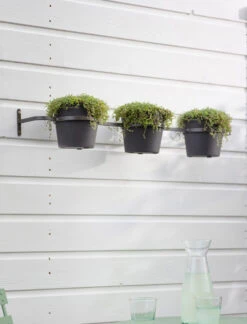 Triple Stratton Wall Pots And Farringdon Holder - Carbon
