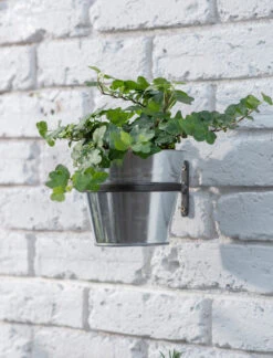 Single Winson Wall Pot And Farringdon Holder - Silver