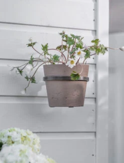 Single Stratton Wall Pot And Farringdon Holder - Warm Stone