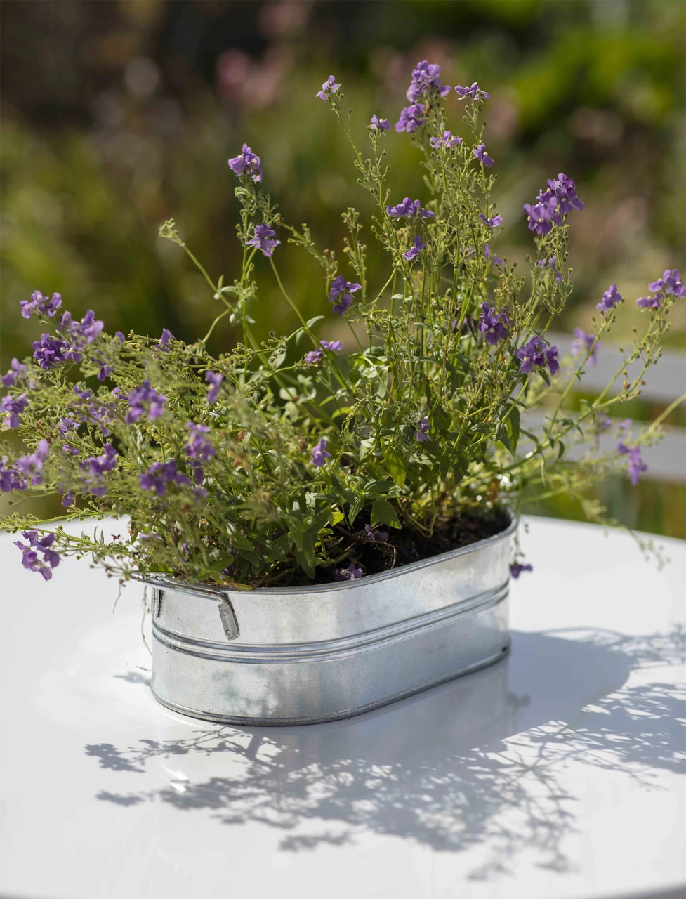 Farmington Trough - Small 1 Farmington Trough - Small