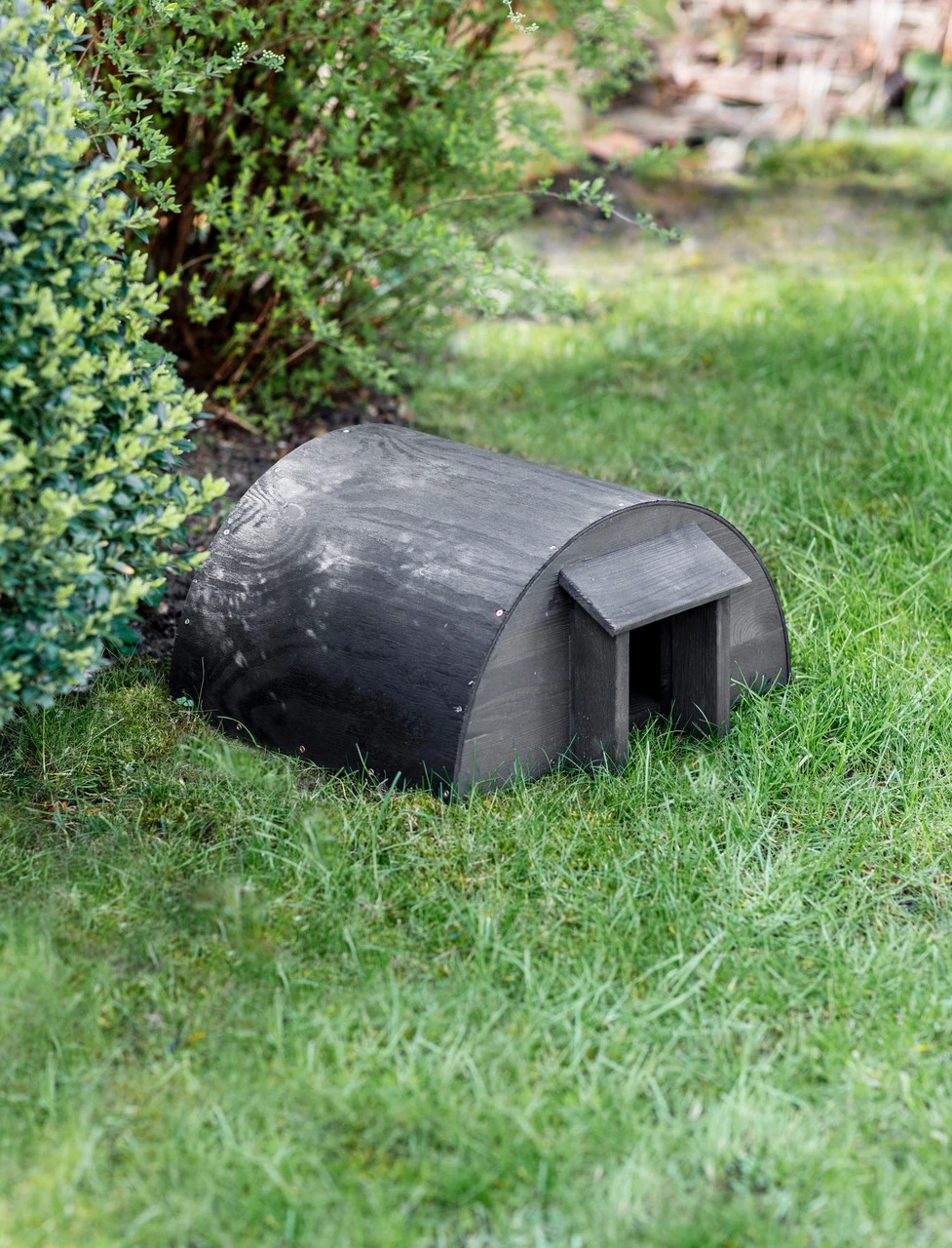 Hedgehog House 1 Hedgehog House