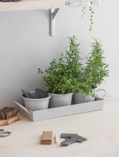 Set Of 3 Pots On A Tray