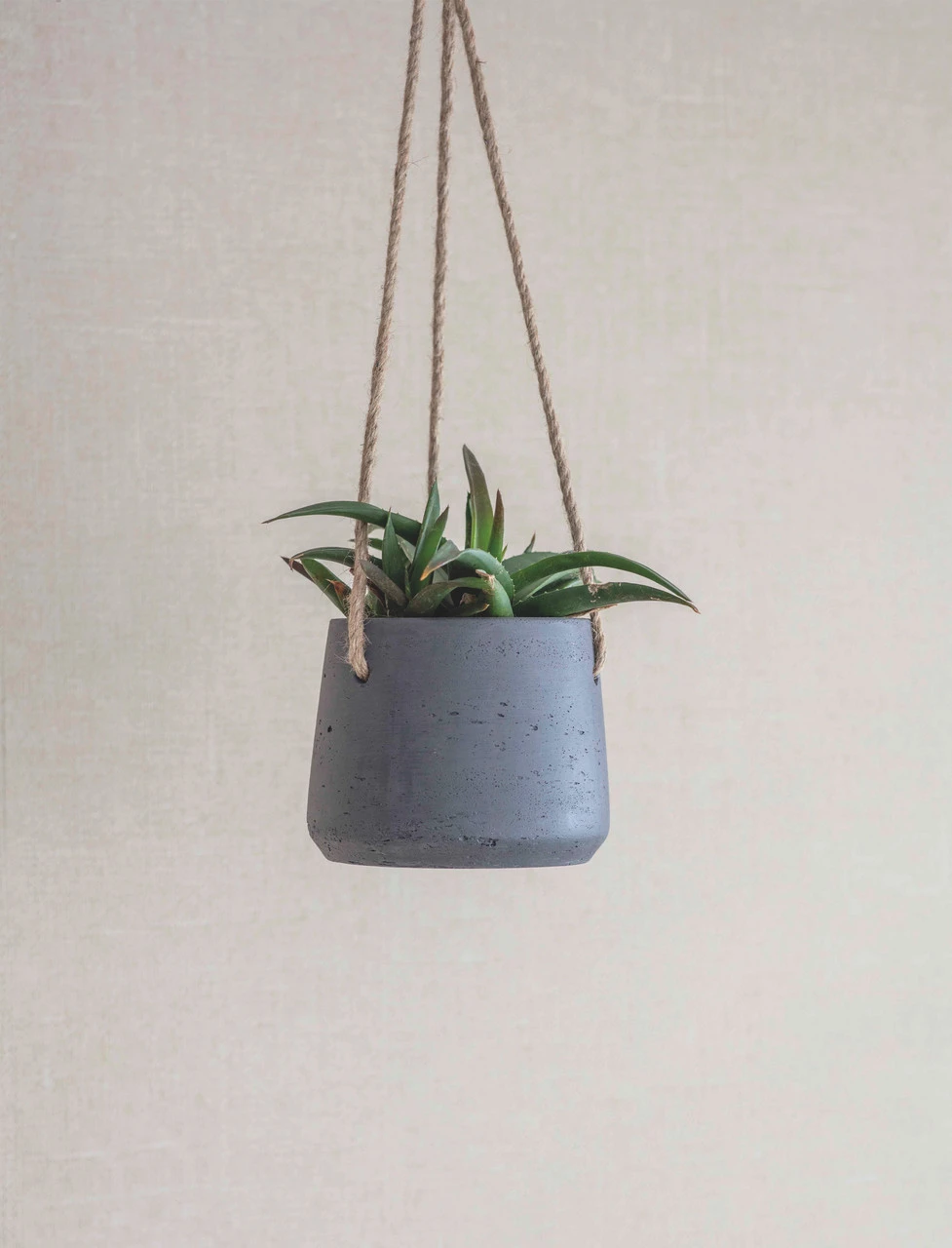 Stratton Hanging Pot - Small - Carbon 1 Stratton Hanging Pot - Small - Carbon