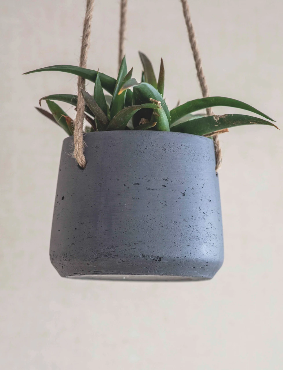 Stratton Hanging Pot - Small - Carbon 2 Stratton Hanging Pot - Small - Carbon - Image 2