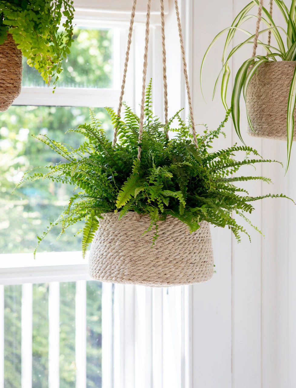 Woven Hanging Plant Pot - Tapered 1 Woven Hanging Plant Pot - Tapered